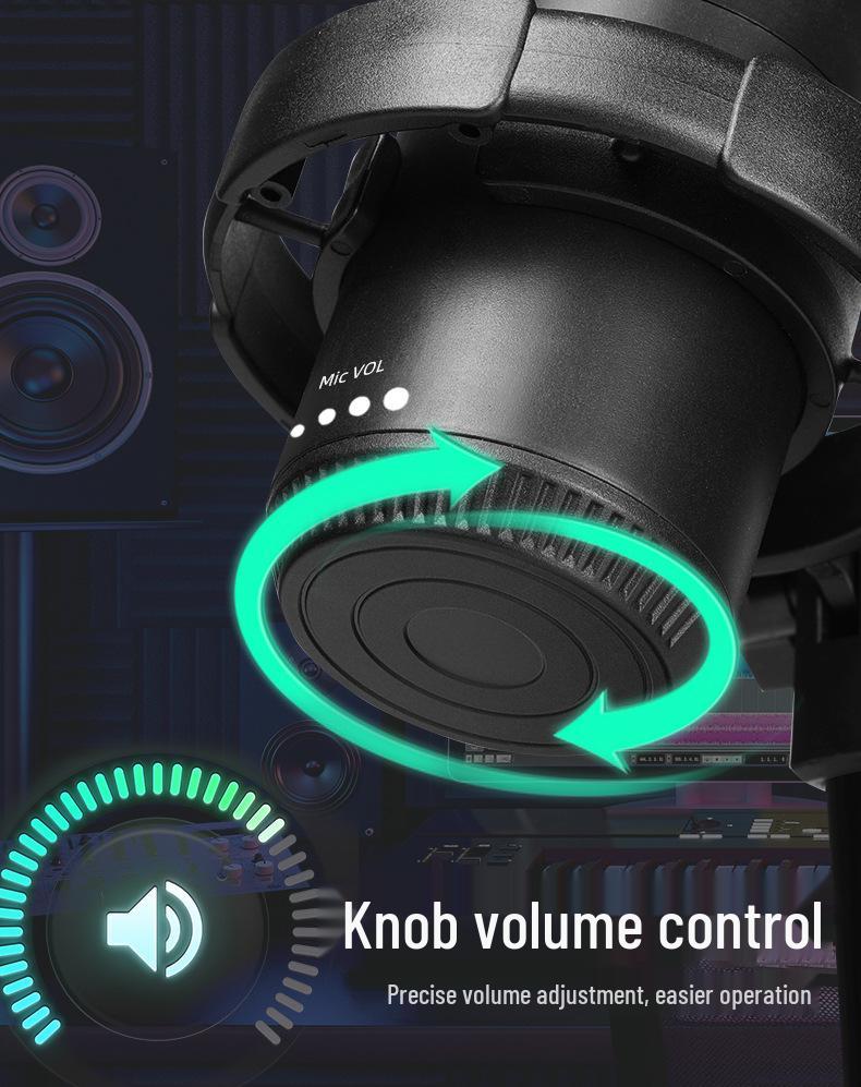 RGB USB Desktop Boom Arm Microphone for Gaming, Streaming & Recording with Mute & Monitoring Features