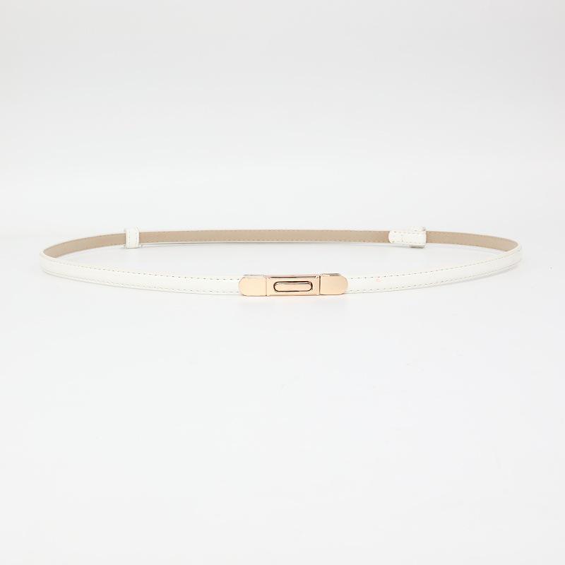 Women's Versatile Decorative Thin Leather Belt for Dress, Sweater, or Shirt