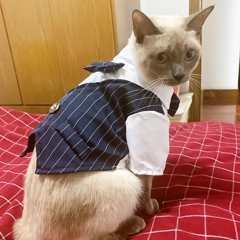 Hochzeitsgesellschaft Männliches Haustier Smoking Anzug Sphynx Katze Kleidung für Katzen Gotas mascotas Kostüm Katten Kedi Hemden Reunion Hundebekleidung