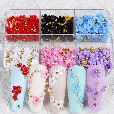 1 Schachtel 3D-Blumen-Nagelkunst-Anhänger 6 Fächer Harz-Blumen-Anhänger Goldene Perlen DIY-Nageldesign Schmuck Bastelartikel Maniküre-Dekoration Zubehör