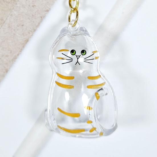 Cat Hair Storage Box Keychain Cat Memorial Pendant Transparent Pets Hair Capsule Portable Pet Souvenir Accessories Thoughtful Gift for Pet Lover