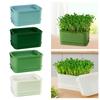 Ghivece de flori și coșuri – Containere pentru răsad