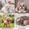 15Pcs Rainbow Ribbon Pet Bow Hair Bows Gradient Tone Gradient Ribbon Bow  Pet Hair Arrangement