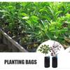 Seedling Bag, Plastic Nursery Bags, Seedling Bag Plastic Nursery Bag Plant Grow Bag 200pcs - Ya