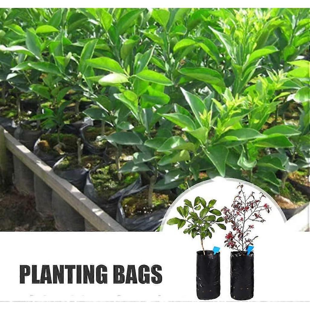 Seedling Bag, Plastic Nursery Bags, Seedling Bag Plastic Nursery Bag Plant Grow Bag 200pcs - Ya