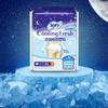 SOFY Cooling Fresh Sanitary Pad/Comfort Sleep Panty