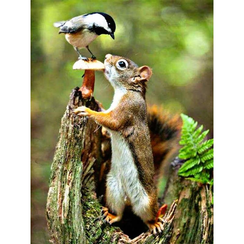 

5D алмазная живопись Животные Белка Алмазная вышивка полная квадратная Алмазная мозаика вышивка крестиком пейзаж домашний декор Full Round 30x40CM