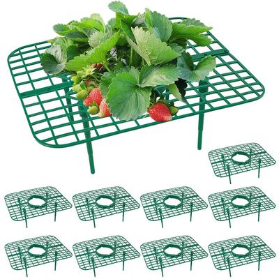 10/20 Pcs Strawberry Plant Support, Strawberry Planting Stand, Keeping Strawberry Plants Clean, Strawberry Growing Racks, Strawberry Growing Frame
