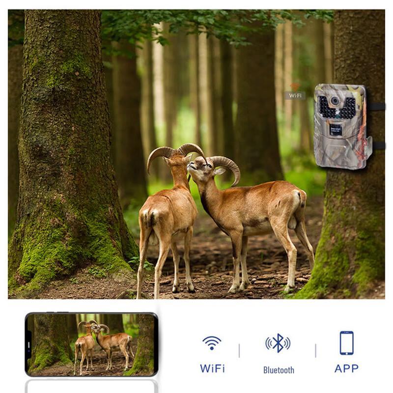 Onick AM-999WIFI Wildlife Trail Camera