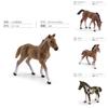Wild Shire Horse Lipizzaner Pvc Model For Kids Educational Display