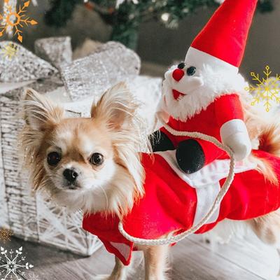 Funny Dog Clothes Christmas Halloween Party Riding Horse Santa Dress Up Coat for Small Dogs French Bulldog Chihuahua Costumes