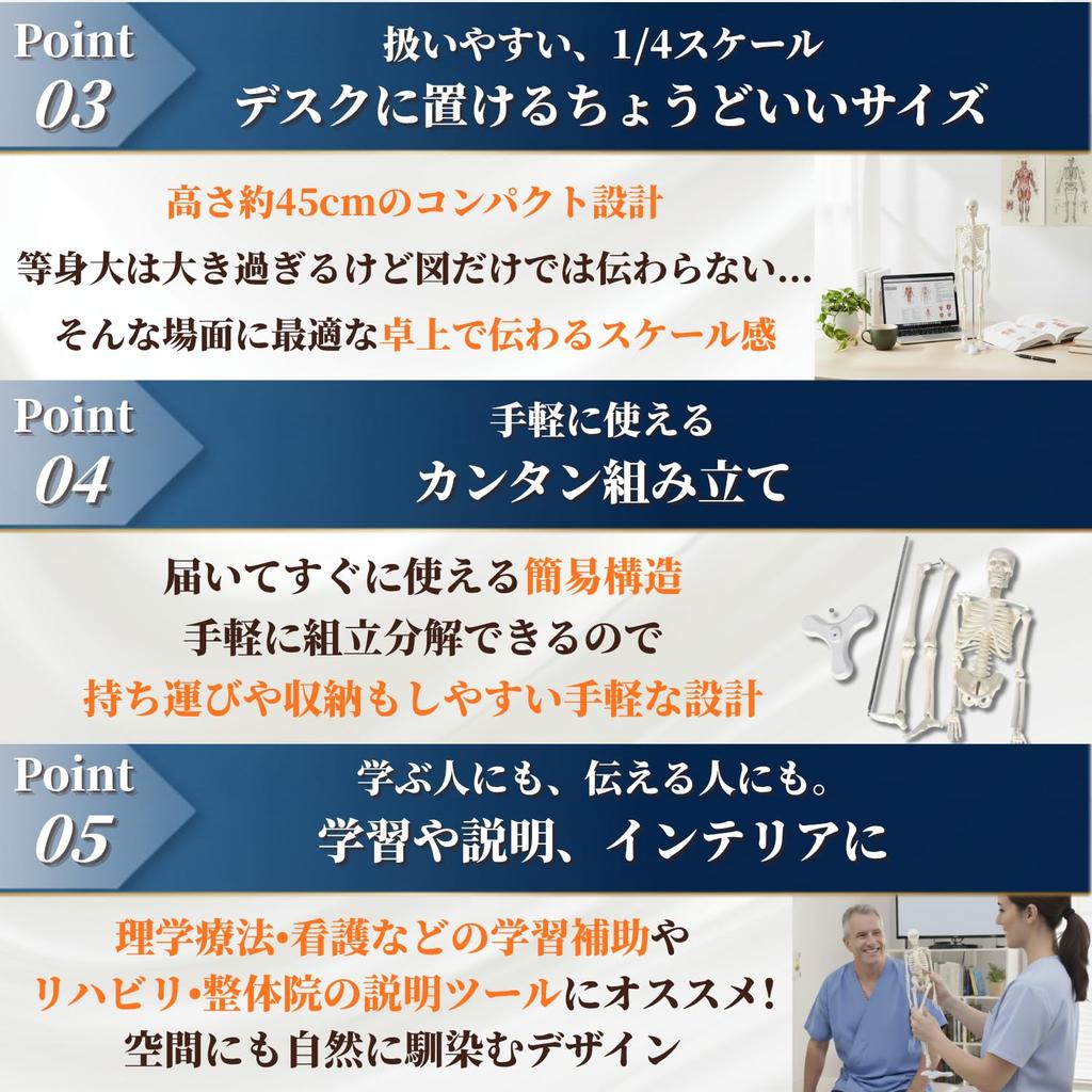After7 1/4 Scale Full Body Skeleton Model, Miniature Human Body Model, 45cm, Tabletop Skeleton Specimen, Bone Model, Movable Joints