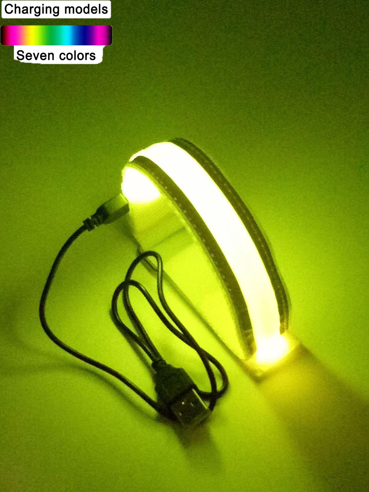 

2Pcs LED Light Strap Wrist Slap Armband Ankle Running Riding Glow Outdoor Sports Night Running Light USB Rechargeable Unisex USB Plug