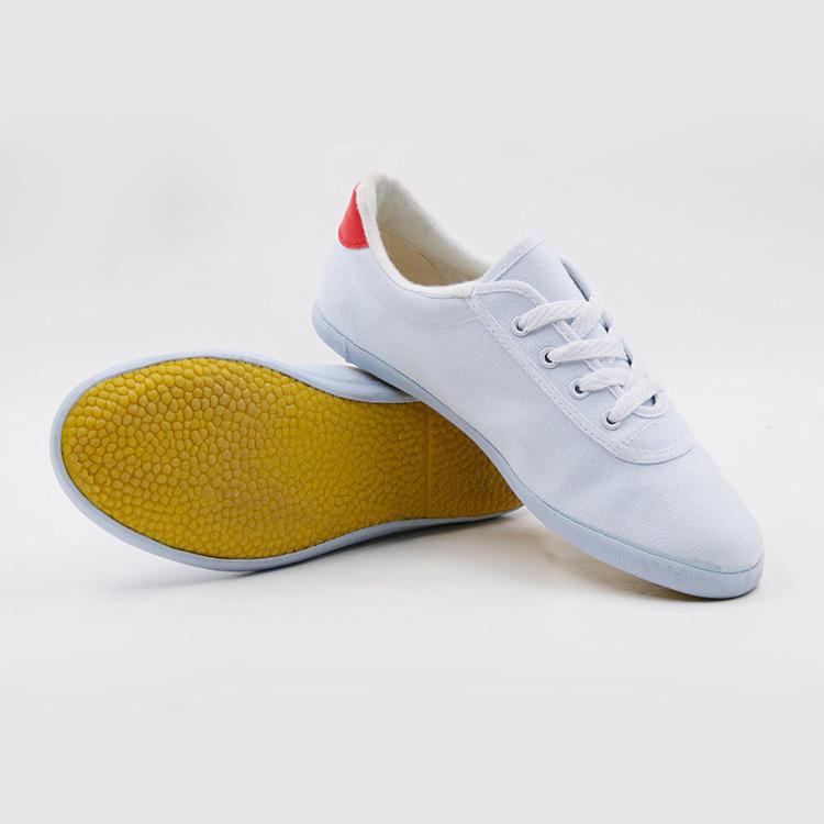 Doppelstern Tai Chi, Leinwand, Kampfsport- und Sportschuhe für Herren, Damen und Kinder.