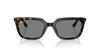 Sunglasses 0RB4439D HAVANA DARK GREY 54mm Asian Fit Ray-Ban (dark Grey)