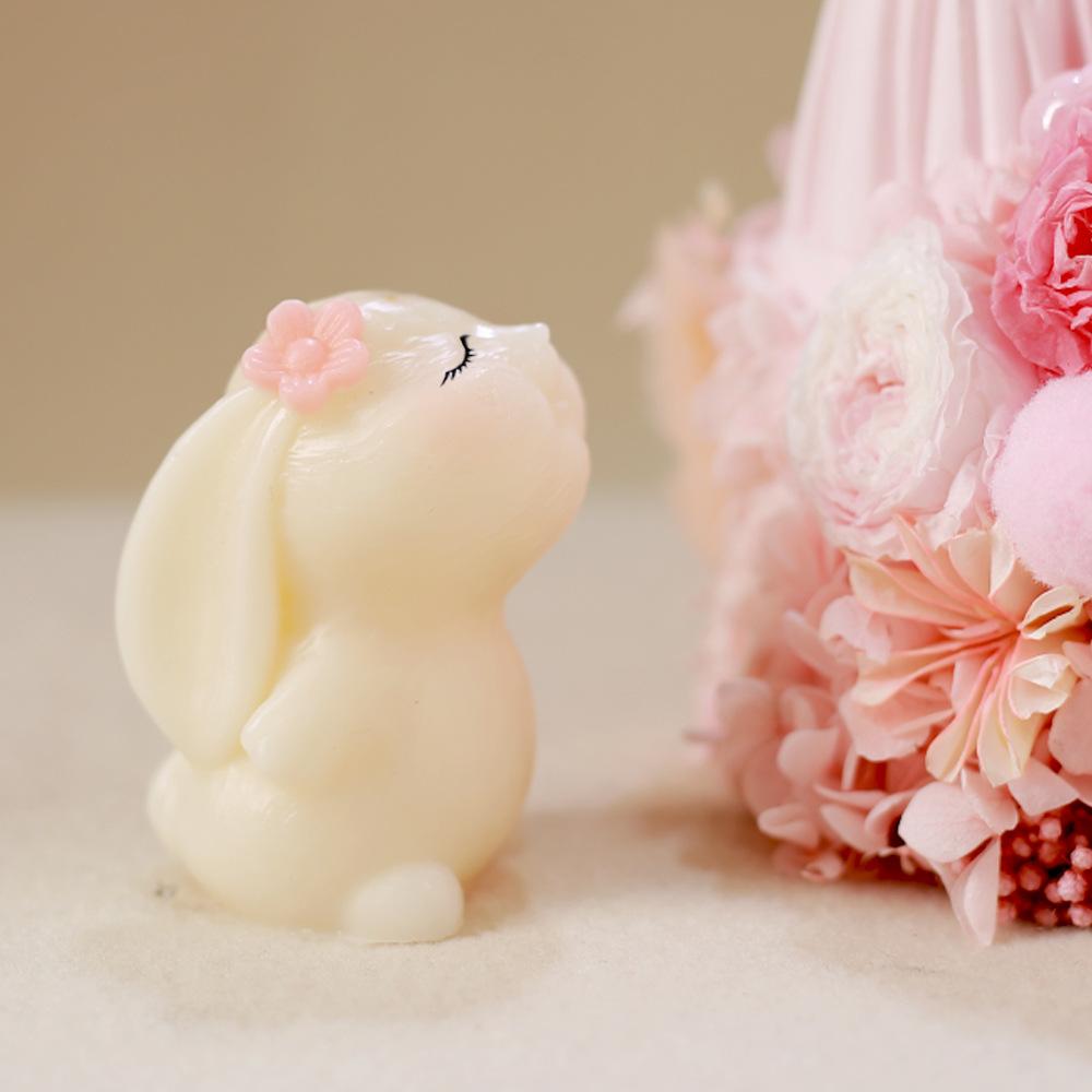 DIY Crystal Dropper 3d Rabbit Mold Aromatherapy Gypsum Candle Mold Waving Teddy Bear Cat Table Silicone Mold