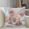 Musife Custom Sphynx Cat Pillowcase Home Decoration 45x45cm Zipper Square Pillowcase Throw Pillow Cover Drop Shipping 04.24