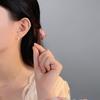 Exquisite Star and Moon Earrings for Women Dream Sweet New Design Earrings