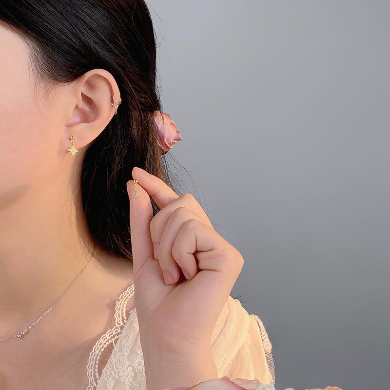 Exquisite Star and Moon Earrings for Women Dream Sweet New Design Earrings