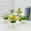 Artificial Green Plant Potted Plant Ornament Small Indoor Decor