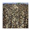 1/3Yard Gradient Full Shiny Sequin Fabric Embroidered Netting Material for Wedding Dresses Evening Gowns Cheongsam Sequin Fabric