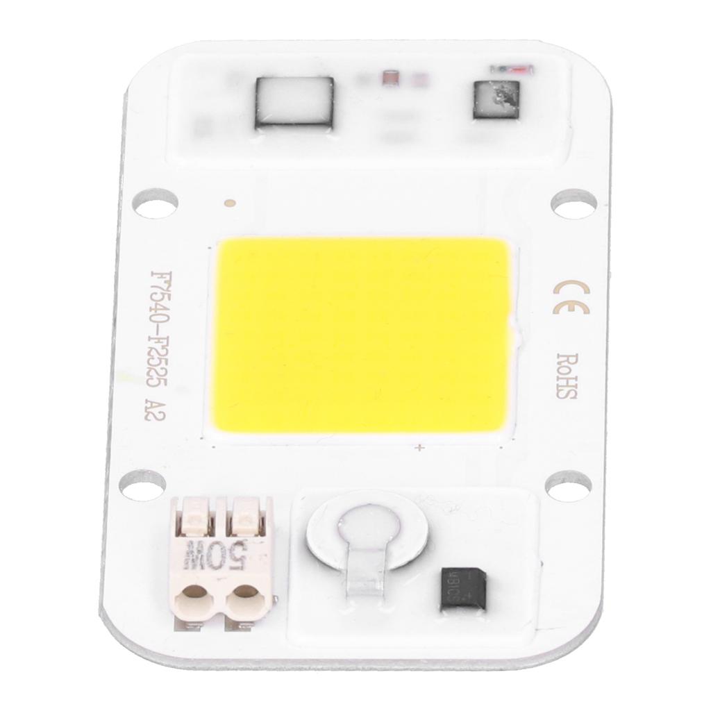 20W 30W 50W 220V LED COB Chip Lamp Panel WeldingFree White Warm Light Full Specturm