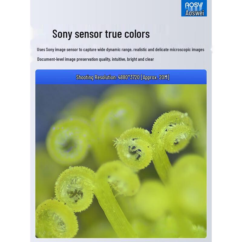 AOSVI Digital Trinocular Stereo Microscope
