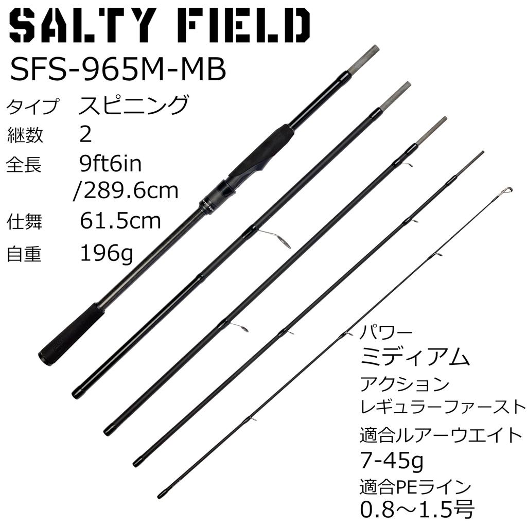 Abu Garcia SALTYFIELD SFS-965M-MB Wolfsbarsch Ufer Jigging Mobil