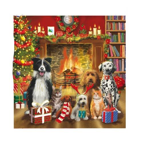 IG Design Square Pets Christmas Greetings Card (Pack of 10)
