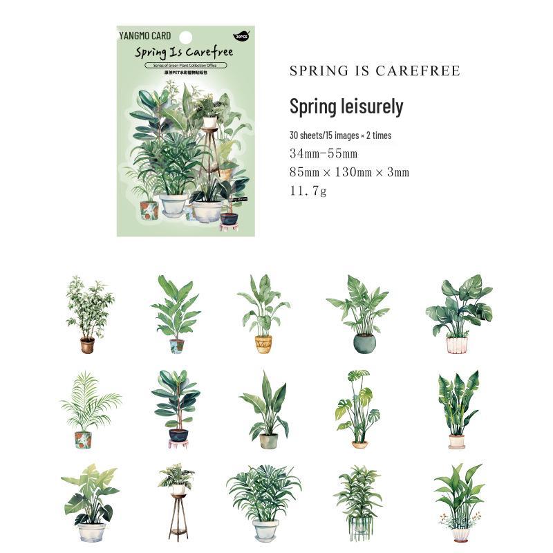 Momo PET White Ink Green Plant Sticker Pack: 30 Sheets, 6 Designs for Journal DIY Decoration