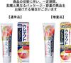 [2 pieces] Camtect Premium Gum Care Toothpaste 105g x 2 pieces