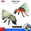 Children's Cognitive Marine Animal Model: Hermit Crab Ornament for Fish Tank