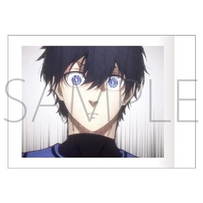 Movic Blue Rock Pashakore 10 Pack BOX