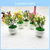 Gypsophila Succulent And Plants Artificial Flower Potted Plant For Gift Giving