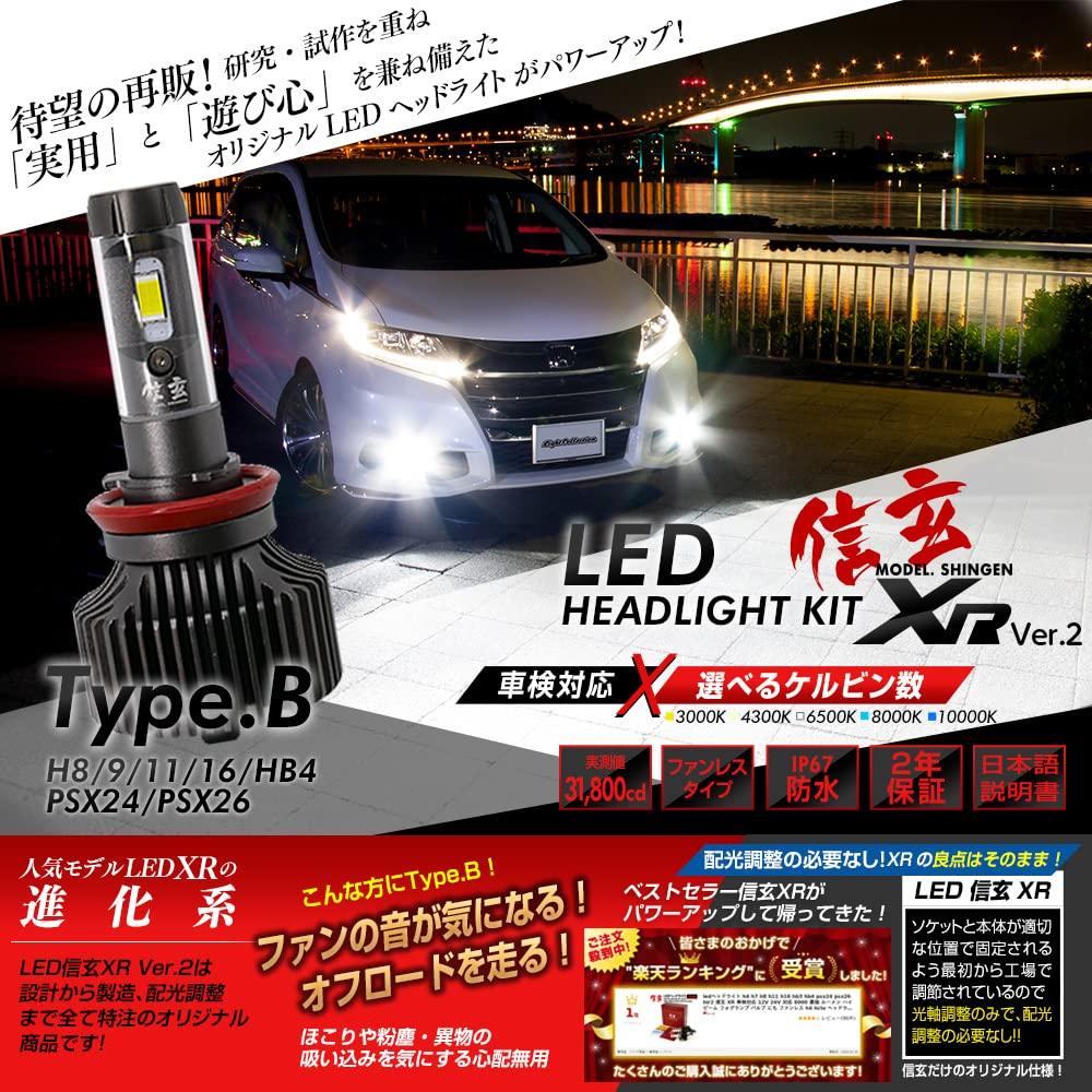 Shingen LED XR H8 H9 H11 H16 Headlights and Fog 10000K Ver.2 Lamps, Fanless, 3000K, 4300K, 6500K, 8000K,