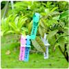 Waterproof Plant Tag Plastic Plant Hanging Tag Gardening Plant Tag Tool Plant Labels  Garden Sign  Planters for Outdoor Plants