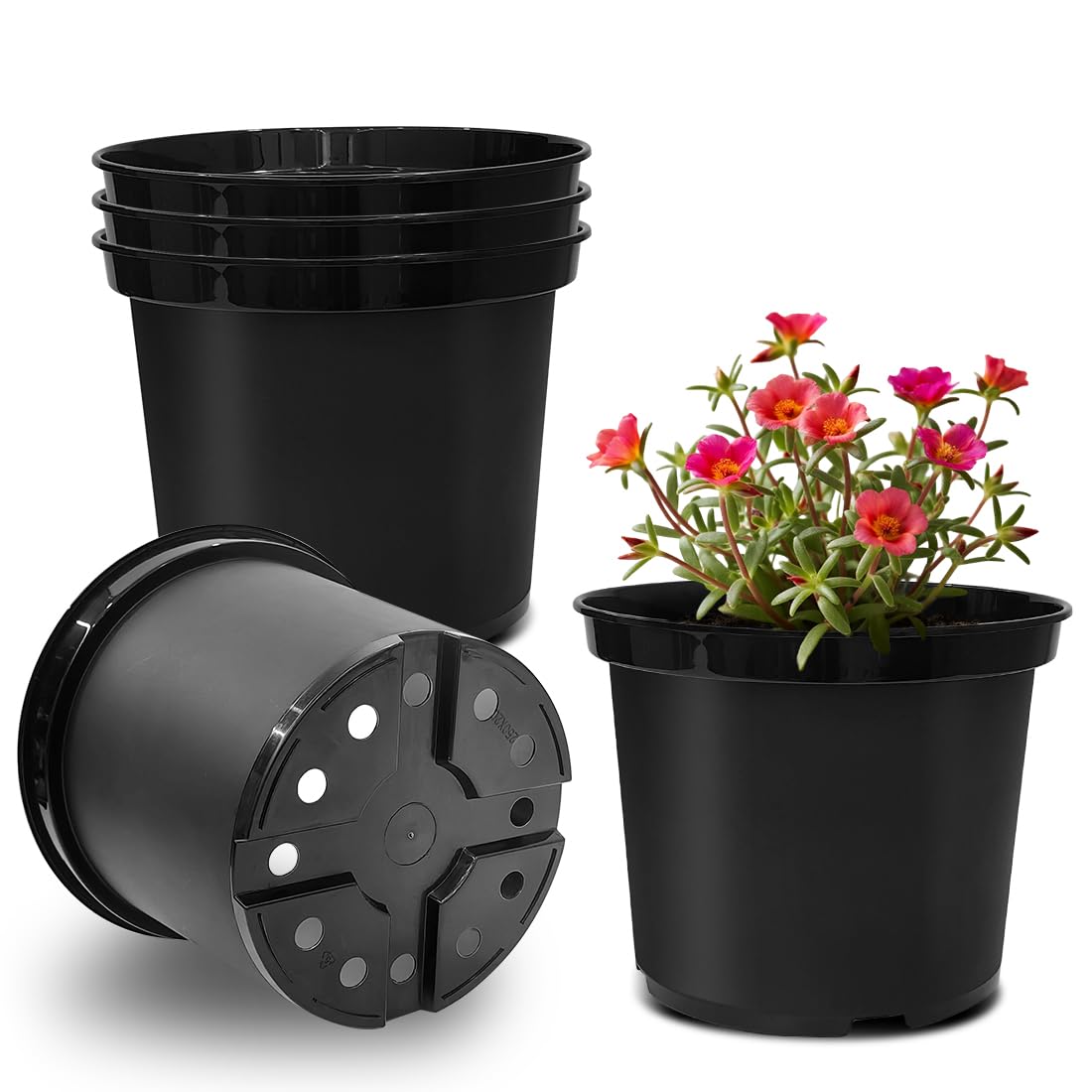 

Большой пластиковый садовый размер 25 см Легкий 2 мм Цветок Насыщенно-розовый Диаметр 250 мм x 200 мм для балконного садоводства Кашпо, Набор из 5 штук, 8, Кашпо, Пересадка, чёрный