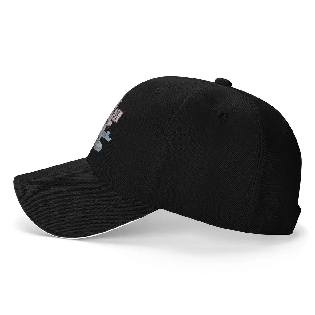 Summer Greenland Is Not For Sale Polar Bear Greenland Flag Baseball Cap Outdoor Gym Sun Trucker Hat Women Men Baseball Caps