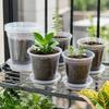 20 See-Through Nursery Pots and 20 Separate Base Plates with Multiple Bottom Drainage Openings for Cuttings, Herbs, and Vegetable Starts