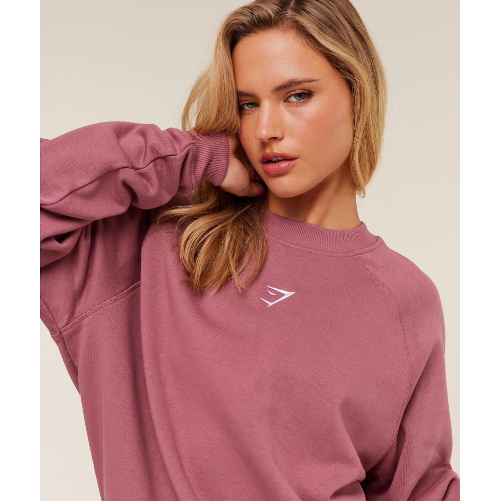Gymshark Hanorac supradimensionat din fleece pentru antrenament Roz Reset B5a9r Kc2j