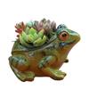 Realistic Design Frog Succulent Plant Pots Indoor Decor Resin
