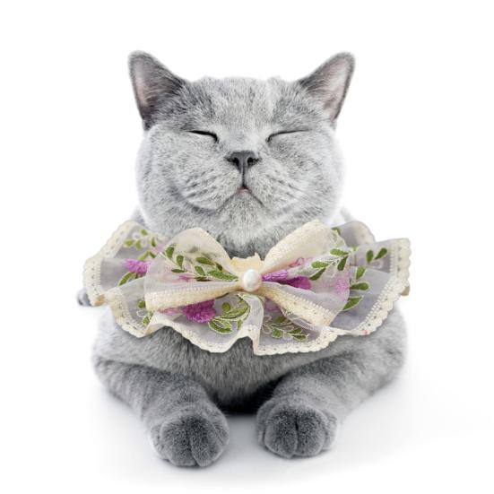 Pet Collar Bib Embroidery Flower Lace Bandana Lovely Dress Up Cat Dog Bow Neckerchief Saliva Towel Pet Accessories