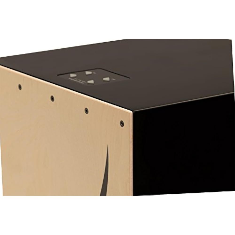 Roland Roland Roland Electronic Layered Cajon EC-10 Hybrid Cajon Sound for Various Instruments Ca...