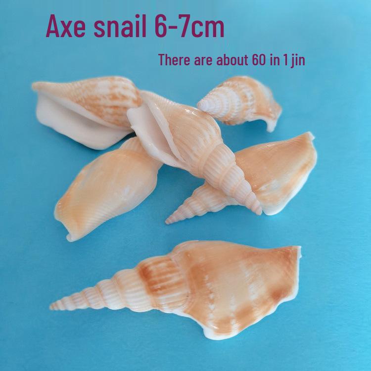 Conch Shells & Starfish for Hermit Crabs: Aquarium Decor & Drift Bottle Accessories