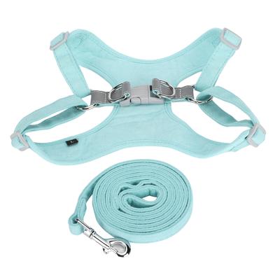 Cani – Collari e guinzagli per cani