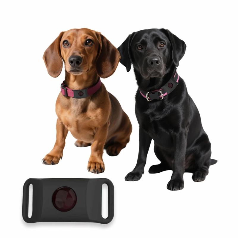 Natural Anti-Flea & Tick Pendant Oils for Dogs & Cats Collar Wearable Pet Tags with Essential Oils To Repel Pests Safely
