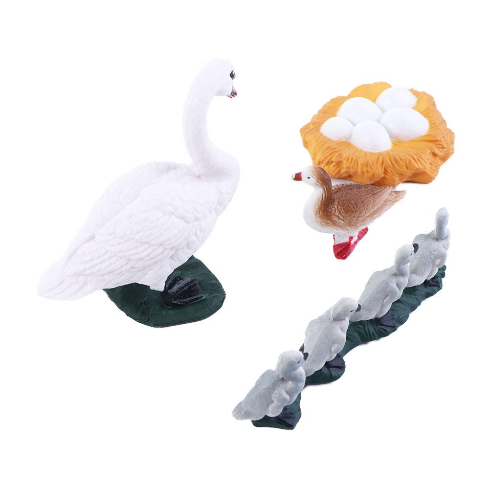 Toys Swan Model Life Cycle Figures Cycle Duck Figurine Growth Cycle Simulation White Goose