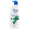 Head & Shoulders Anti-Dandruff & Anti-Itch Shampoo
