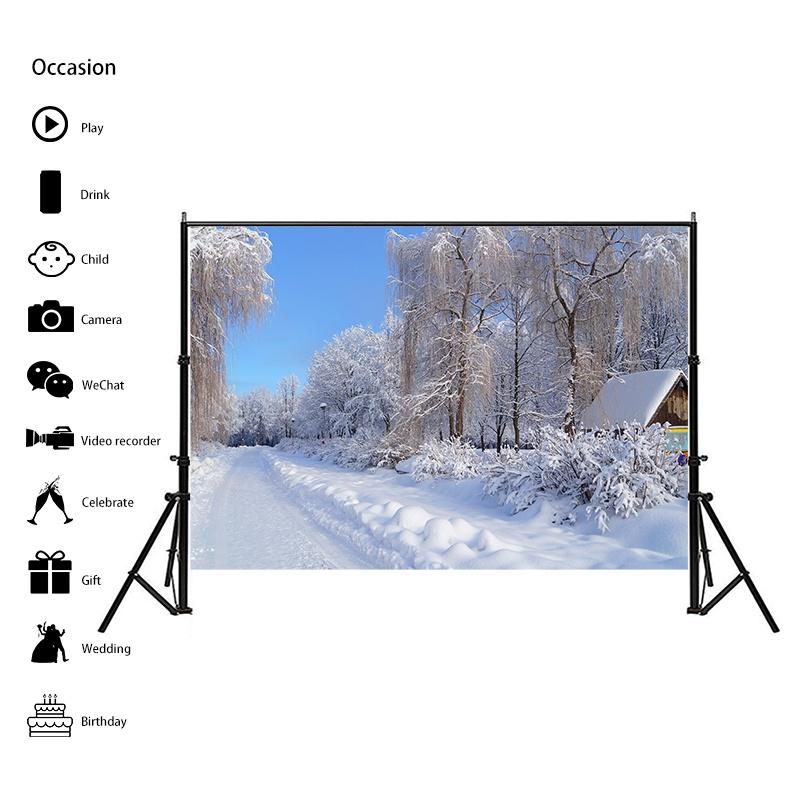 Winter Theme Snow Scene Background Nature Landscape Sky Snowflake Christmas Portrait Prop Party Decoration Banner