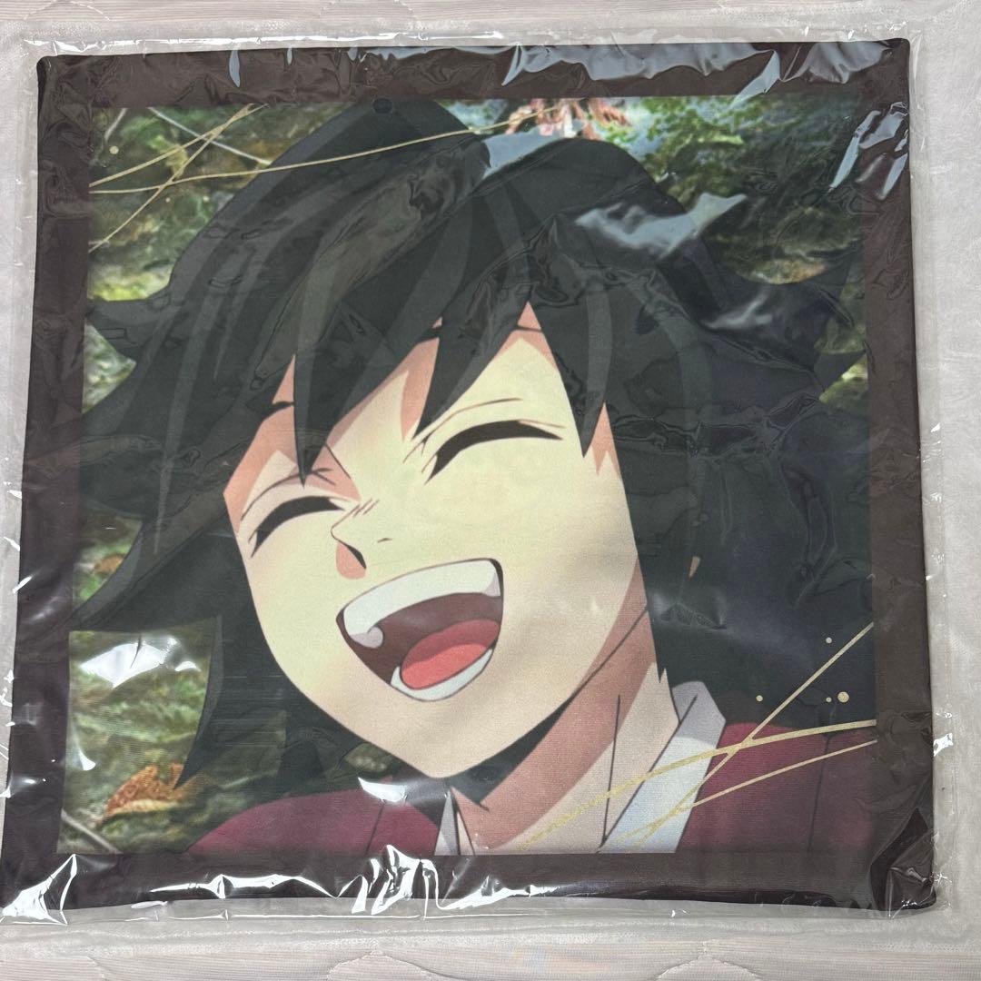 

[USED] Demon Slayer: Kimetsu no Yaiba - Pillar Training Arc - Young Giyuu Cushion Cover